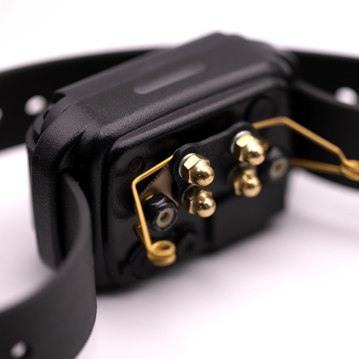 e-collar-technologies-comfort-pad-contact-wings-dog-training-collar-closeup