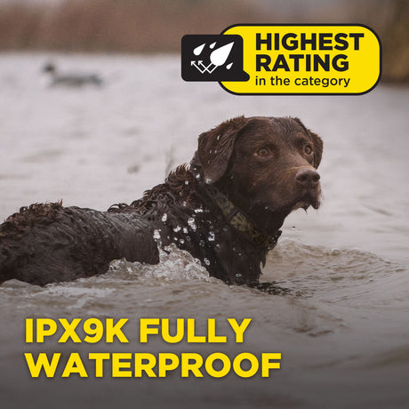 dogtra 1900x remote dog training hunting dog collar features