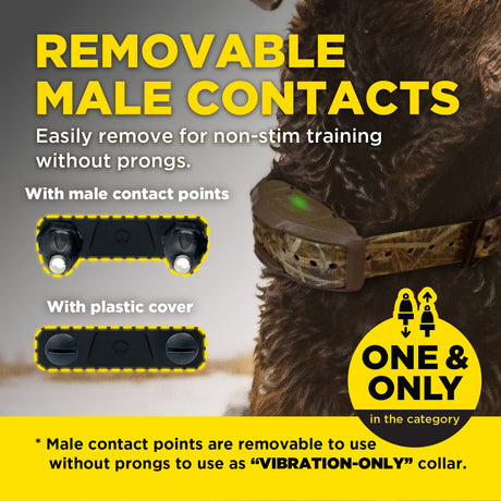 dogtra 1900x camo hunting dog training collar benefits