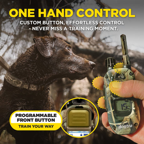dogtra remote hunting dog training collar programmable