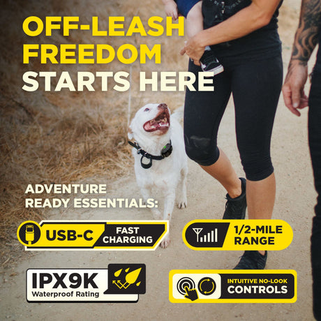 dogtra 200iq off leash dog training remote collar