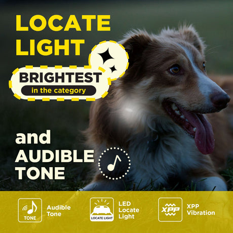Dogtra 200iQ remote dog training collar infographic locate light