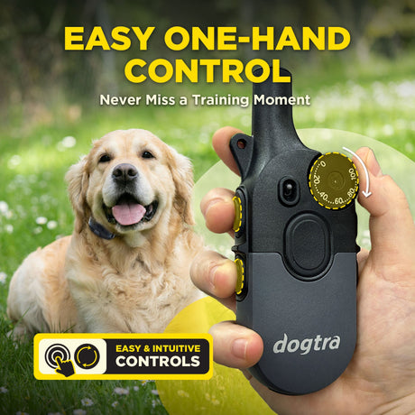 Dogtra 200iQ remote dog training one handed control infographic