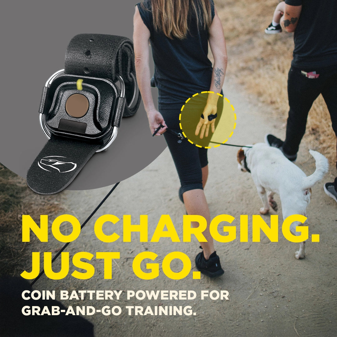 Dogtra Handsfree Remote Dog Training Square No Charging