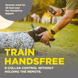 Dogtra Train Handsfree Remote Dog Training Square