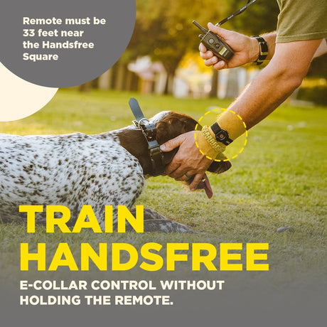Dogtra Train Handsfree Remote Dog Training Square