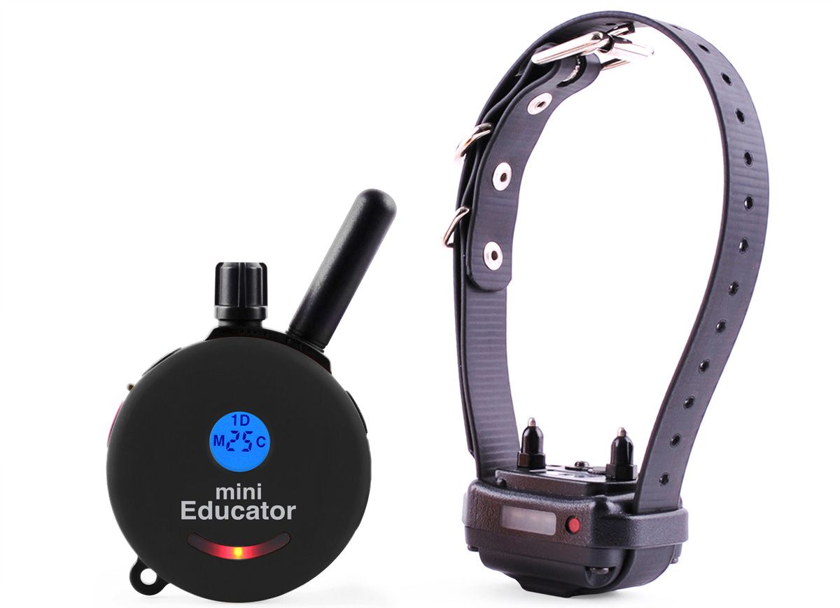 E-Collar Technologies ET-300 Mini Educator Remote Dog Training