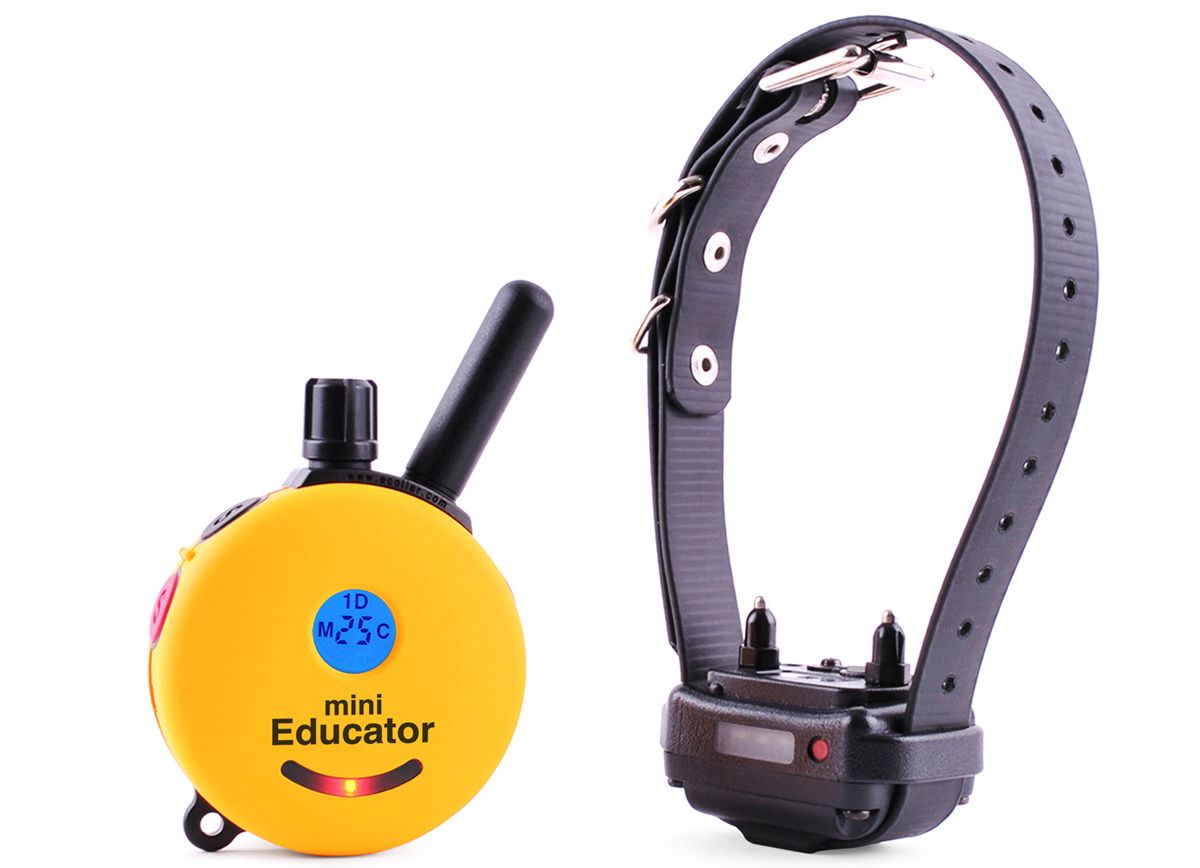 e-collar technologies et-300 black electronic dog collar
