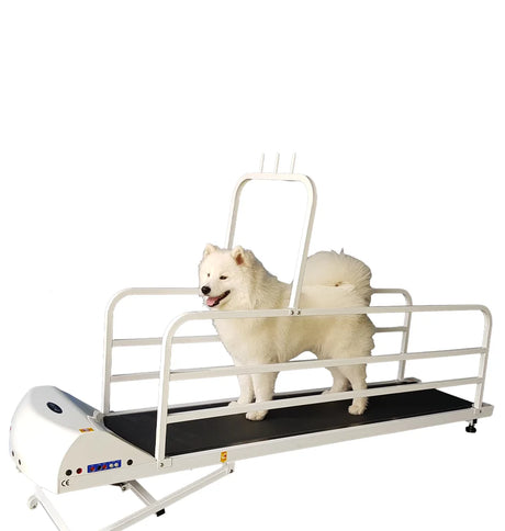 go pet 725E electric dog exercise treadmill with incline