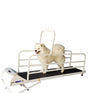 go pet 725E electric dog exercise treadmill with incline