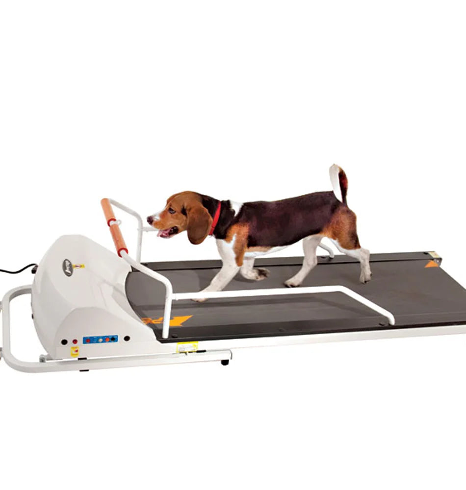 GoPet 720F Electric Dog Training Exercise Treadmill for Small and Medium Dogs