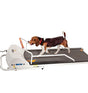 GoPet 720F Electric Dog Training Exercise Treadmill for Small and Medium Dogs