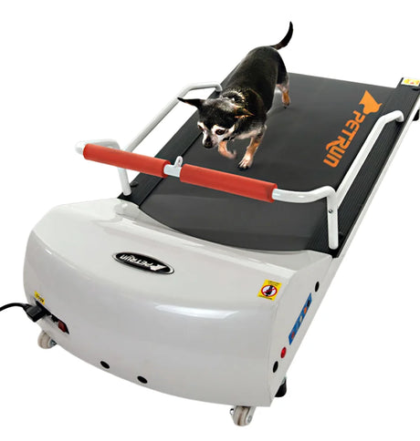 GoPet 700 Electric Dog Treadmill for Toy Breeds