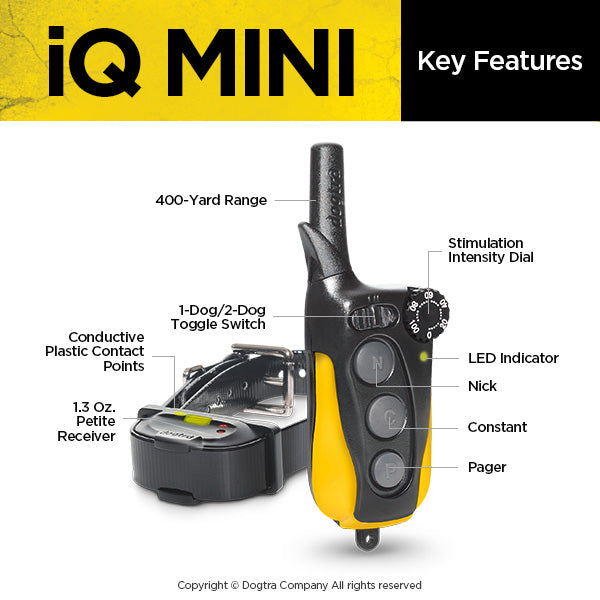 Dogtra IQ Mini Remote Dog Training E-Collar | Obedience For Small