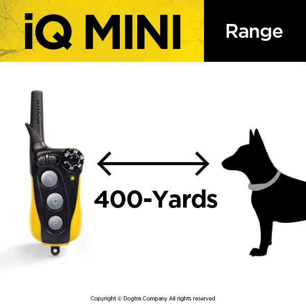 Dogtra IQ Mini Remote Dog Training E-Collar | Obedience For Small