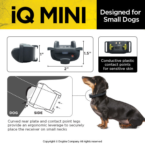 Dogtra IQ Mini Remote Dog Training E-Collar | Obedience For Small