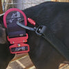 canine-athletes-quick-release-dog-collar-video