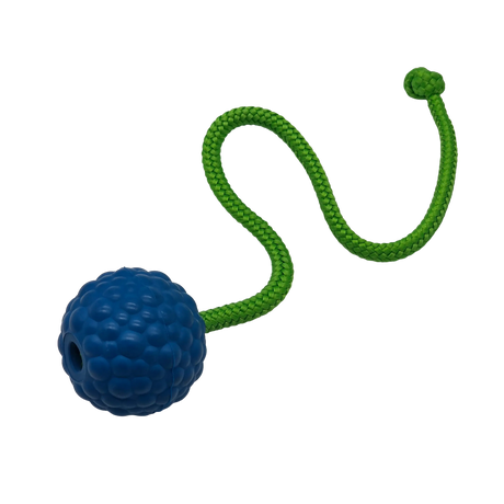 raddog ball on rope dog training bite tug toy blue