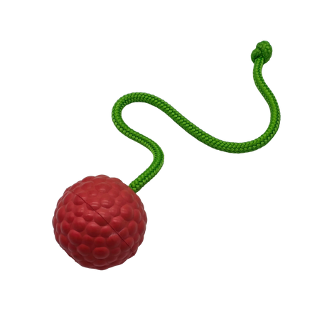 Raddog Ball on Rope Dog Training Reward Bite Tug Toy Red with green rope