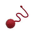 Raddog Ball on Rope Dog Training Reward Bite Tug Toy Red with red rope