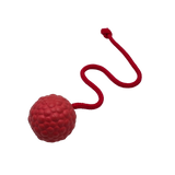 Raddog Ball on Rope Dog Training Reward Bite Tug Toy Red with red rope