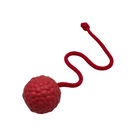 Raddog Ball on Rope Dog Training Reward Bite Tug Toy Red with red rope