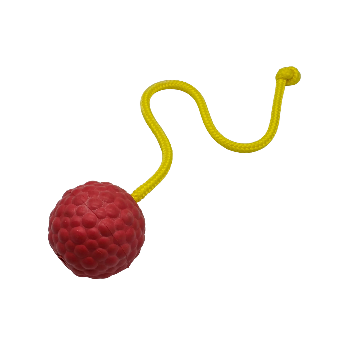 Raddog Ball on Rope Dog Training Reward Bite Tug Toy Red with yellow rope