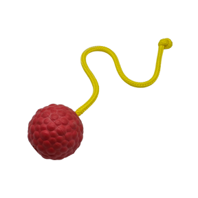 Raddog Ball on Rope Dog Training Reward Bite Tug Toy Red with yellow rope