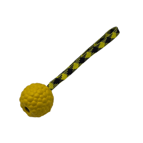 Raddog Magnetic Rubber Ball Dog Training Reward Toy Yellow