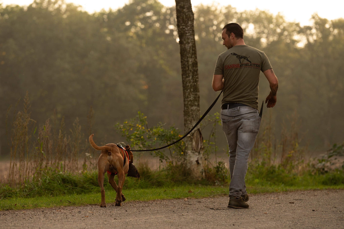 canine-athletes-classic-shirt