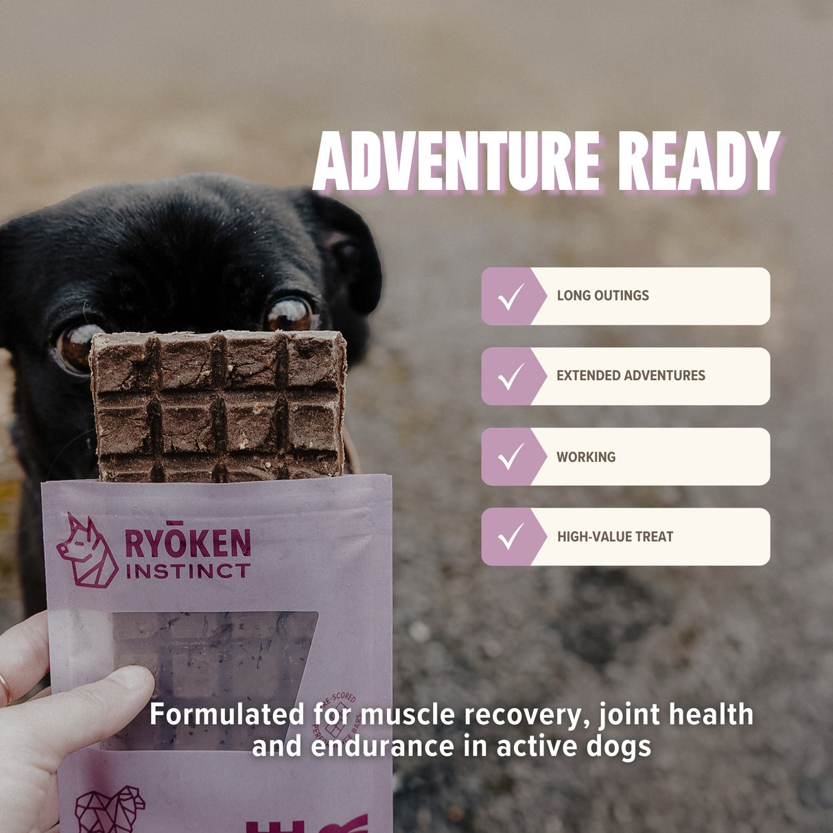 Ryōken Instinct All-Natural Lamb Protein Bar Dog Treats