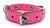 Canine Athletes Hot Pink Heavy Duty 1" Working Dog Collar Collars canine-athletes