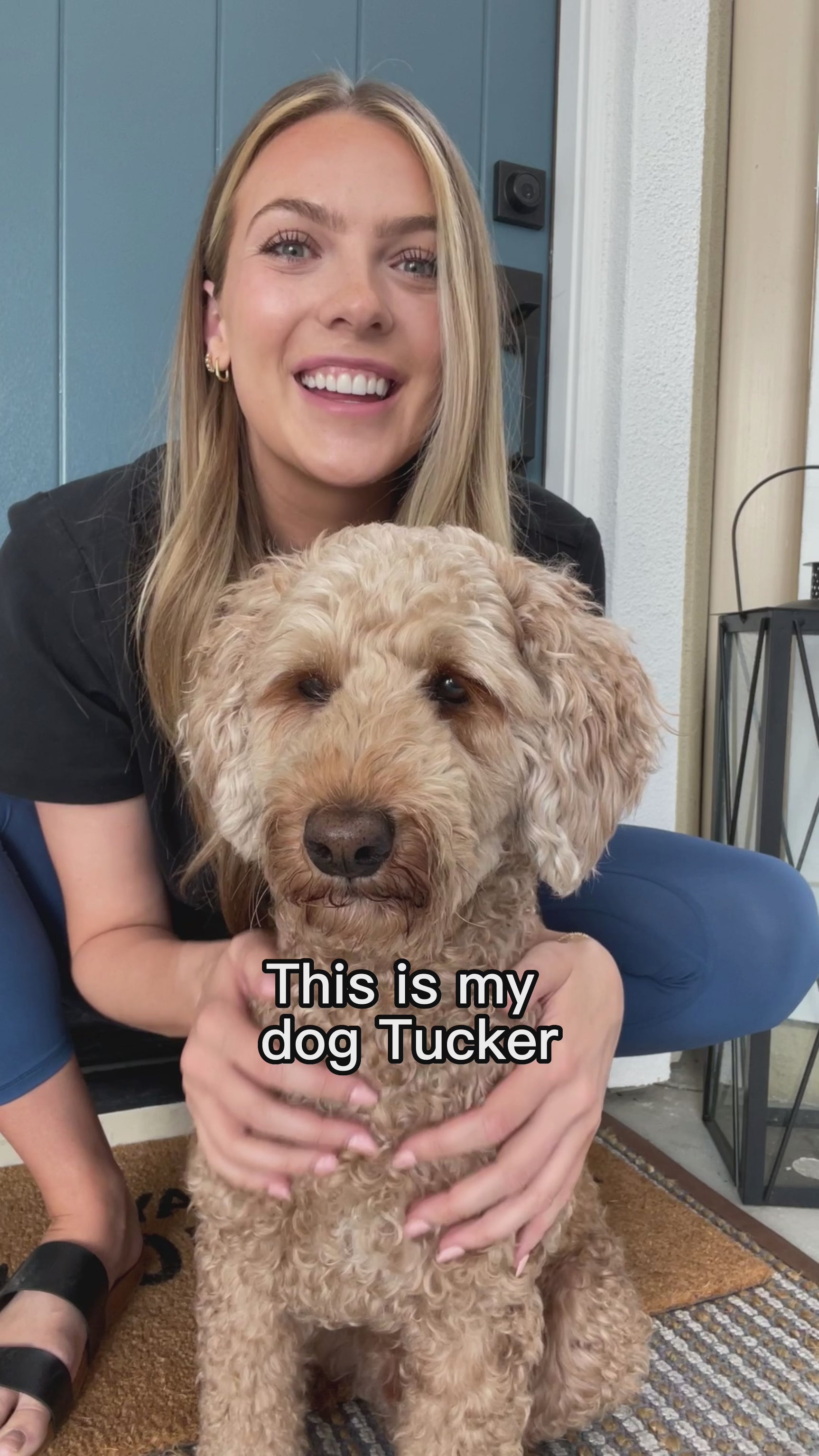 Canine-athletes-1-inch-heavy-duty-working-dog-small-puppy-collar-black-video