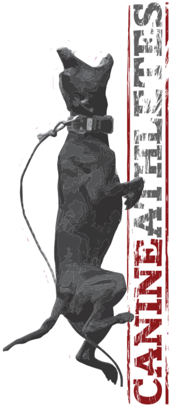 Bloody Sunday Pit Bull Decal