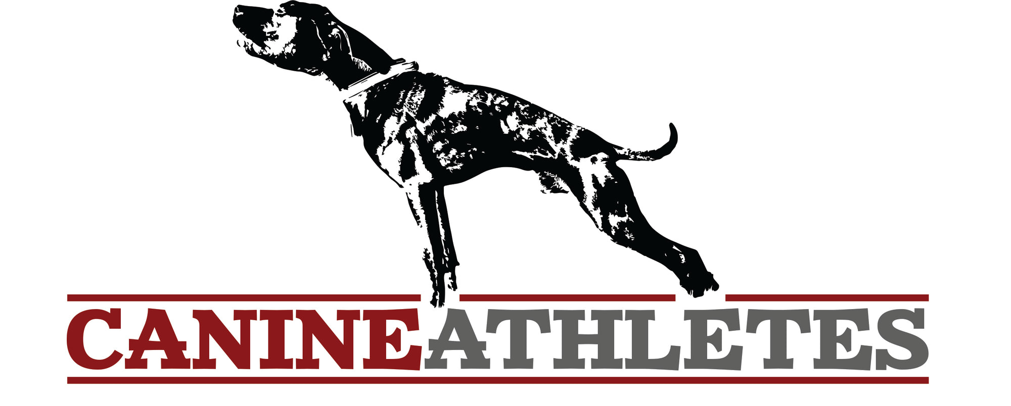 Canine Athletes Vinyl Decal - Matte Laminated (4" H x 8" L) Accessories canine-athletes