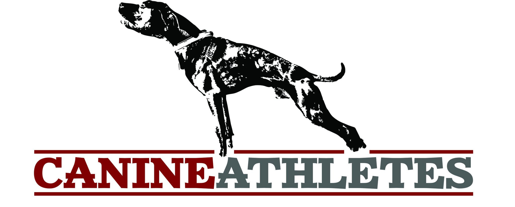 Canine Athletes Vinyl Decal (7" H x 16" L) Accessories canine-athletes