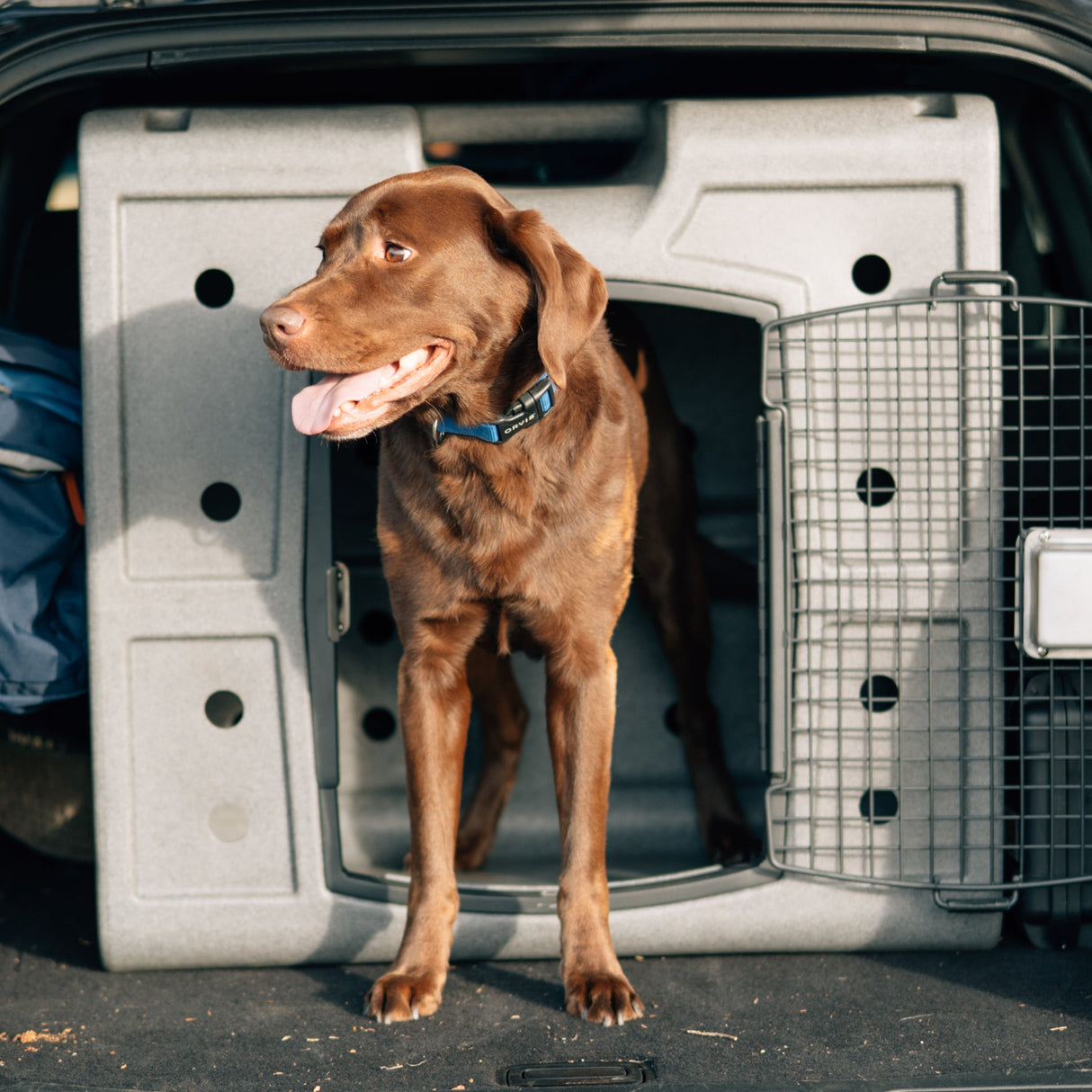 Dakota 283 G3 Side Door Entry Hunting Dog Kennel Crate