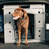 Dakota 283 G3 Side Door Entry Hunting Dog Kennel Crate