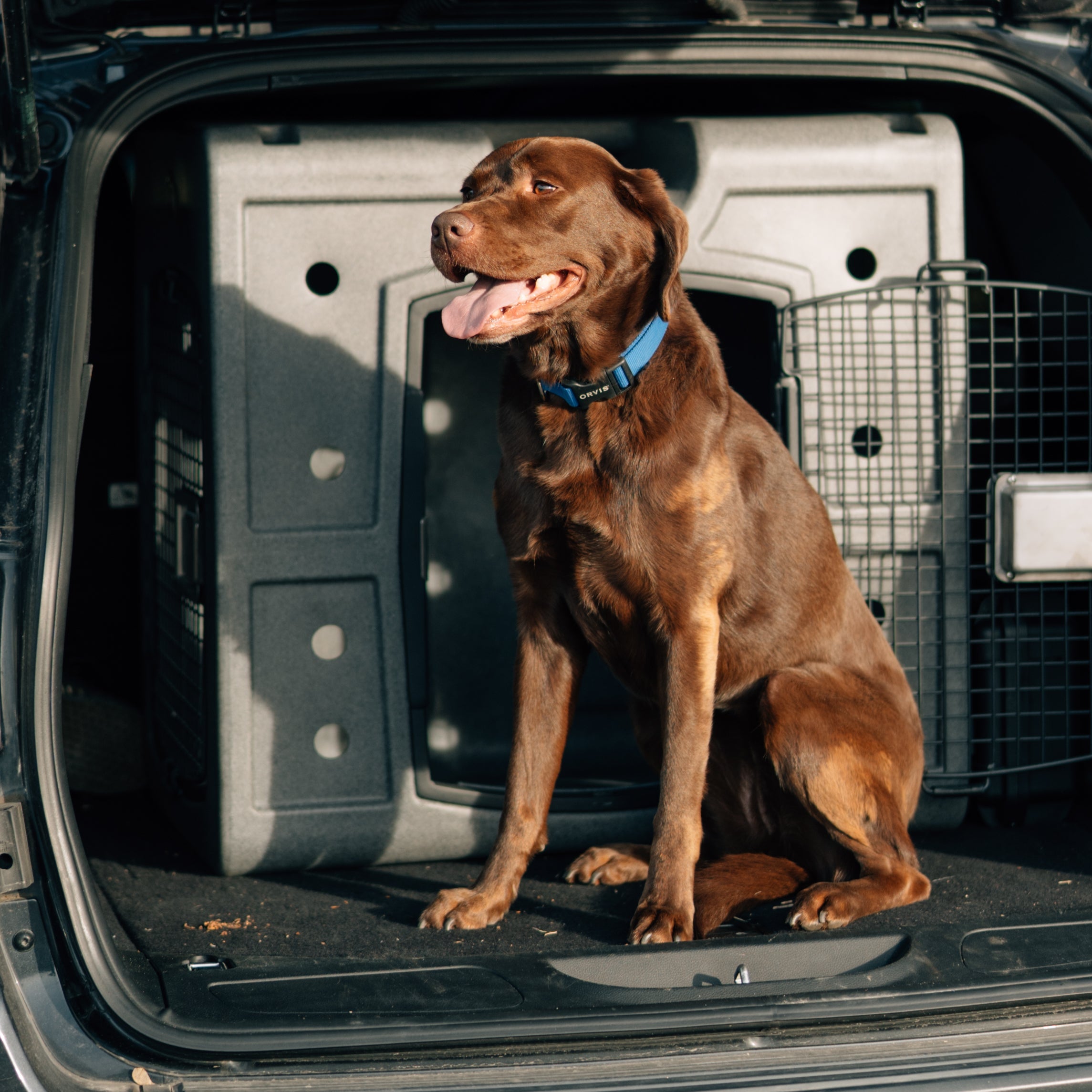 VALLAD 23HOODIE グレー Sサイズ Dakota 283 G3 Medium Side Entry Door Hunting Dog Kennel Crate