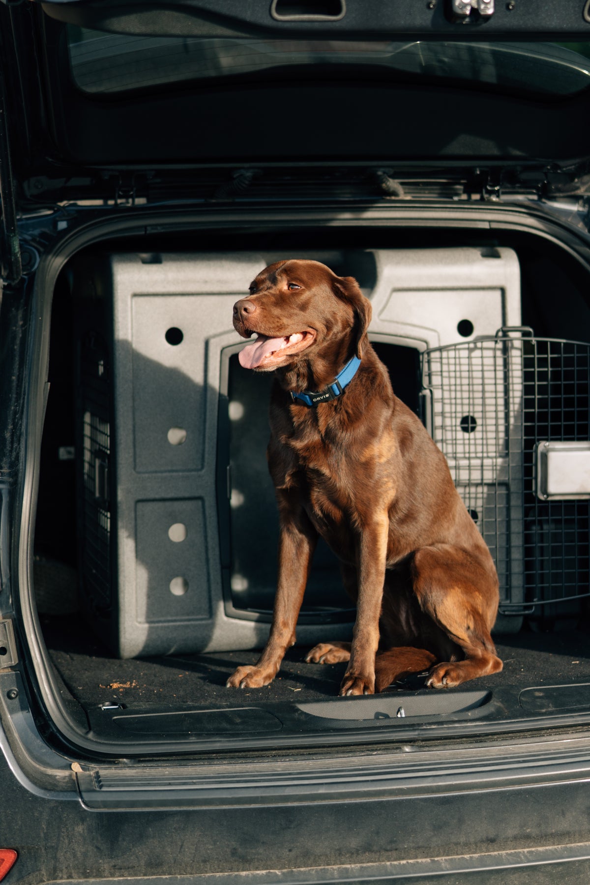 Dakota 283 G3 Side Door Entry Hunting Dog Kennel Crate