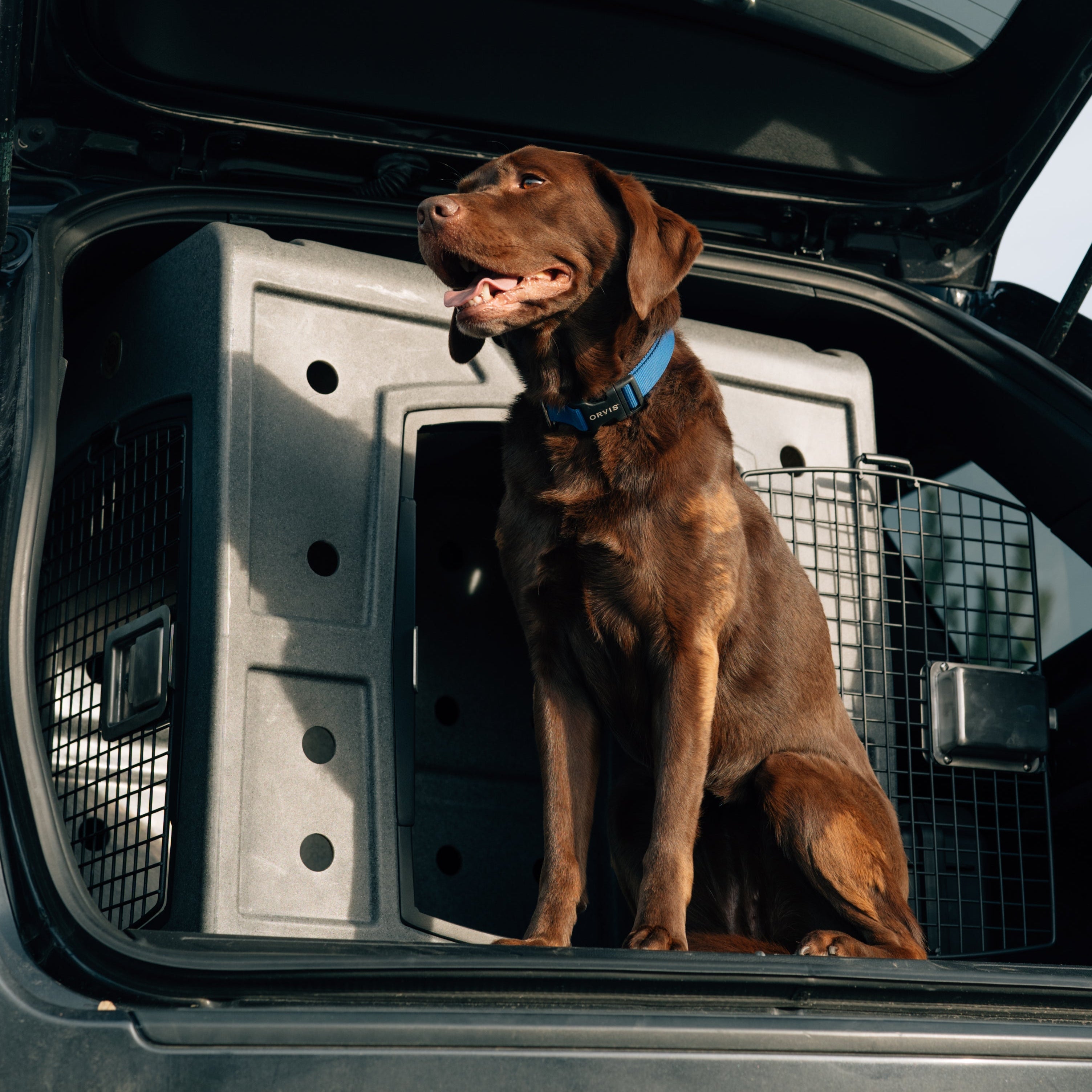 Dakota 283 G3 Medium Side Entry Door Hunting Dog Kennel Crate