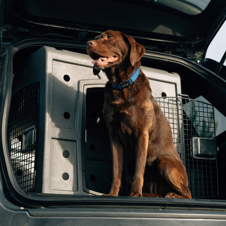 Dakota 283 G3 Side Door Entry Hunting Dog Kennel Crate