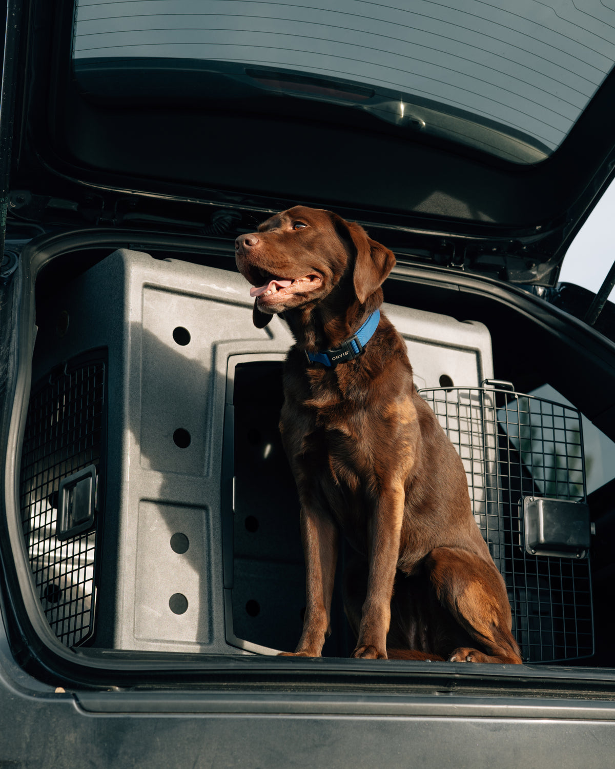 Dakota 283 G3 Side Door Entry Hunting Dog Kennel Crate