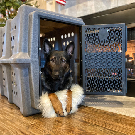 Dakota 283 Hero Working Military Hunting Dog Kennel Crate Shepherd