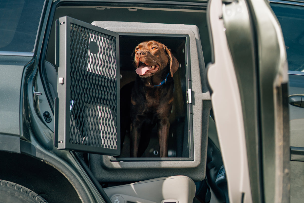 Dakota 283 Hero Working Military Hunting Dog Kennel Crate Labrador Retriever