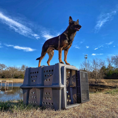 Dakota 283 Hero Working Military Hunting Dog Kennel Crate Shepherd