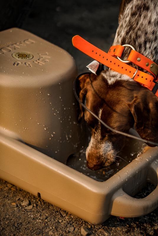 Dakota 283 Dash 5 gallon portable dog bowl watering system