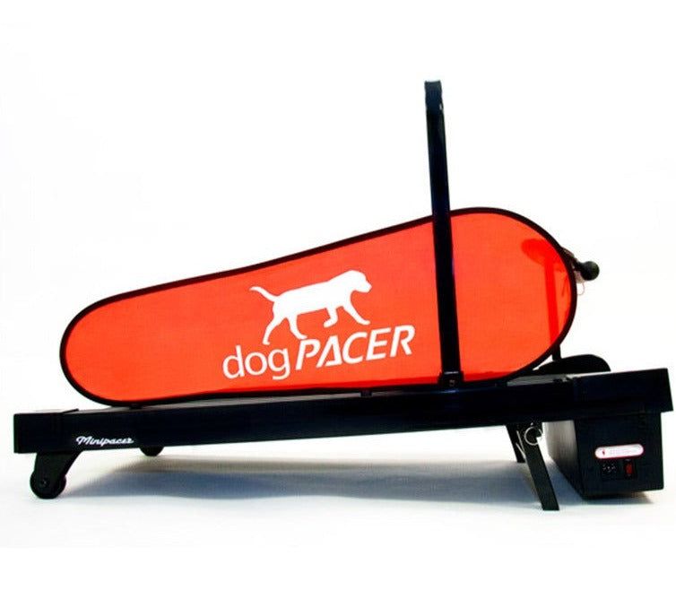 dogPACER Minipacer Electric Dog Treadmill Treadmill canine-athletes