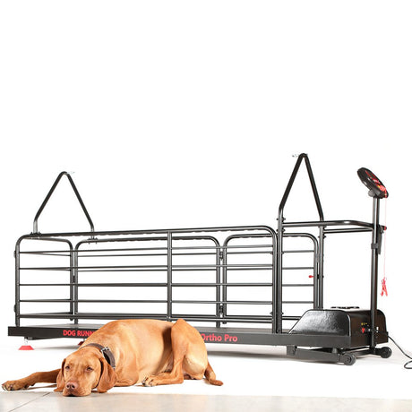 Dog Runner Ortho Pro Electric Treadmill