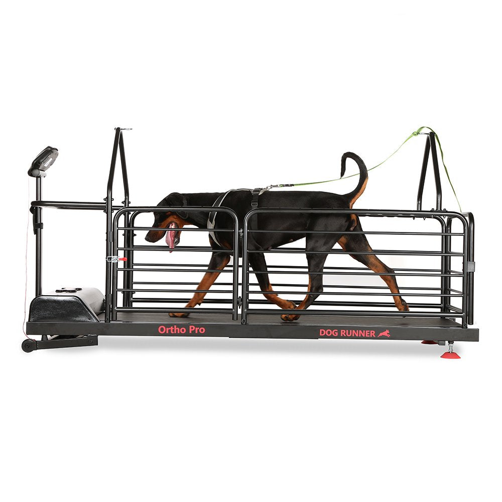 Dog Runner Ortho Pro Electric Treadmill